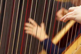 Hands playing Harp strings